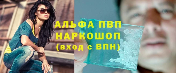 спиды Богородск