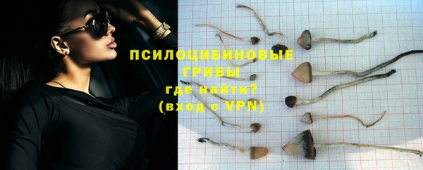 кокаин перу Богданович