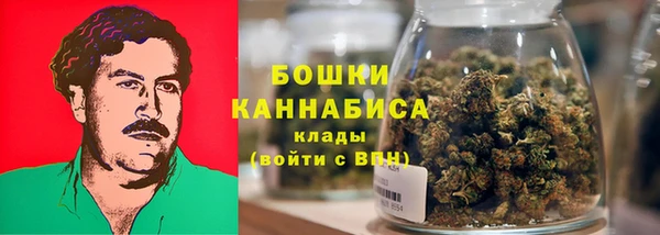 спиды Богородск
