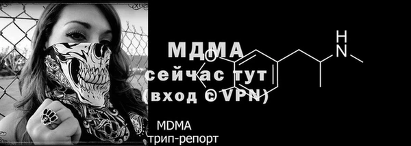 спиды Богородск
