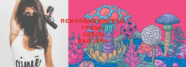 кокаин перу Богданович