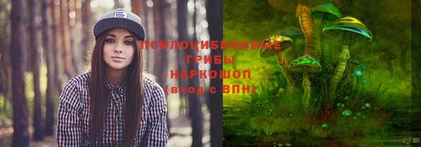 мдпв Богородицк